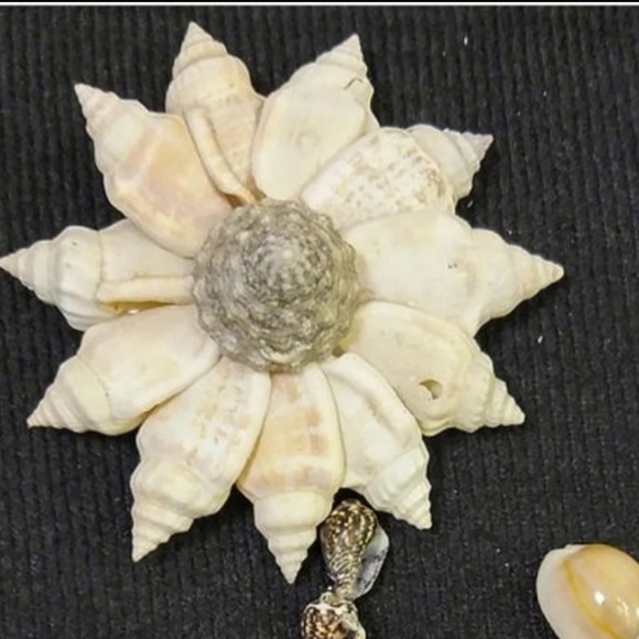 Franed Picture shell wall art 5x7inches - Picture 4 of 6